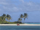 Tobago Cays