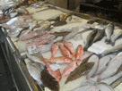 halpiac a Rialto Mercato-nl